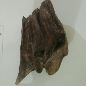 Jersey driftwood art